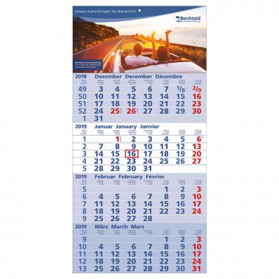 4-Monats-Wandkalender Quattro 2019 hellblau/weiß Hellblau/Weiß