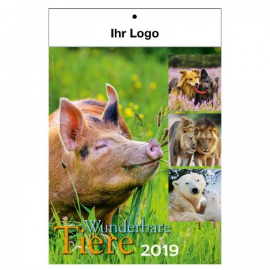 Bild-Wandkalender Wunderbare Tiere 2019